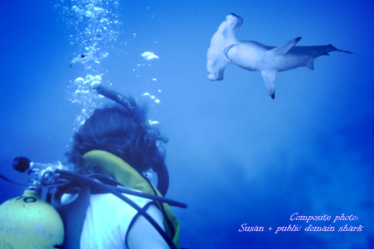 underwater, with Susan in scuba, plus an inserted hammerhead